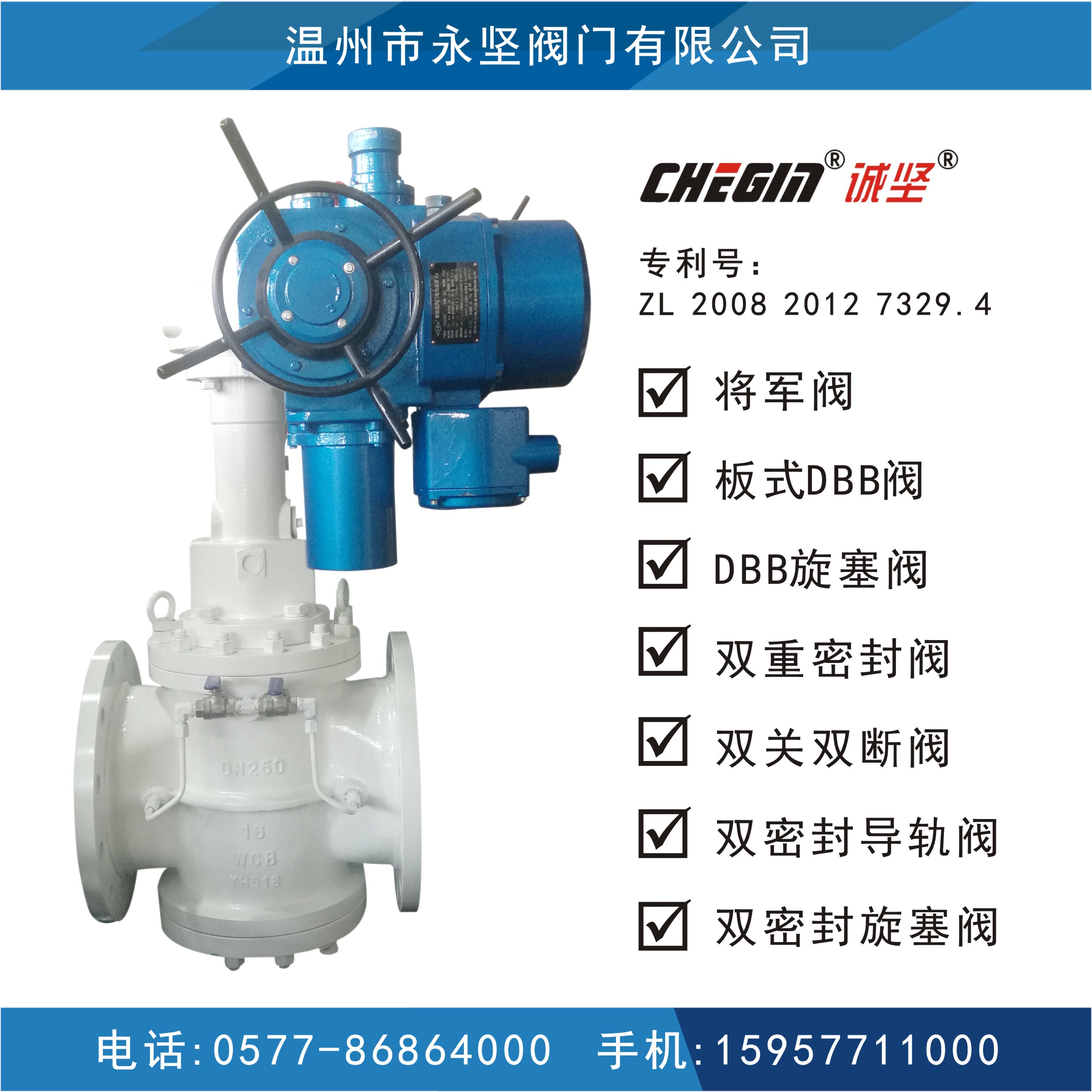 電動板式DBB閥圖片/電動板式DBB閥樣板圖 (1)