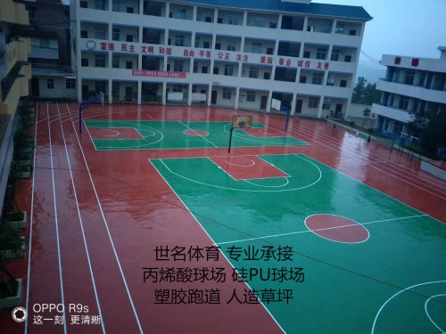 羽毛球场地建造图片