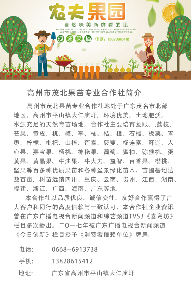 高州市茂北果苗专业合作社