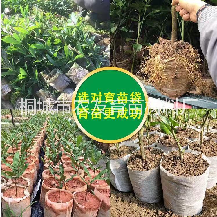 輕基質(zhì)育苗網(wǎng)袋圖片/輕基質(zhì)育苗網(wǎng)袋樣板圖 (3)