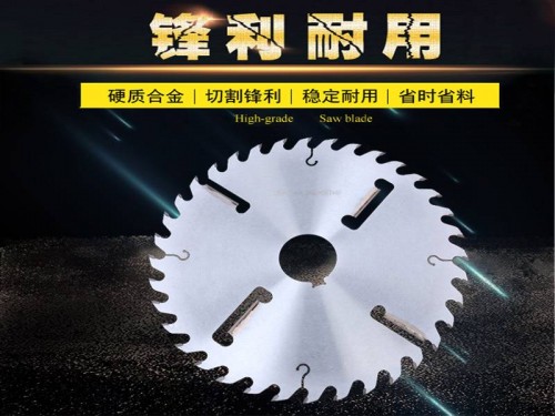 福建多片锯多片锯_福建洪林多片锯厂家供应定制各种型号 圆木多片锯图片