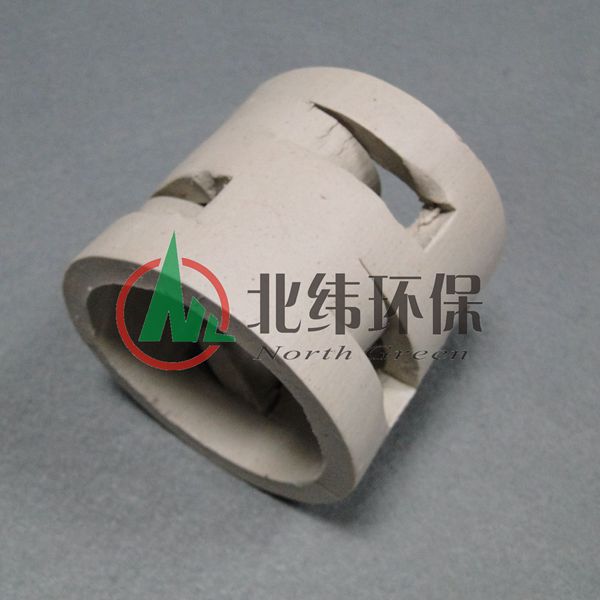 陶瓷鮑爾環(huán)圖片/陶瓷鮑爾環(huán)樣板圖 (3)