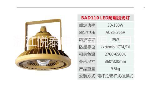 BTC8310 LED防爆投光灯 20W 30W