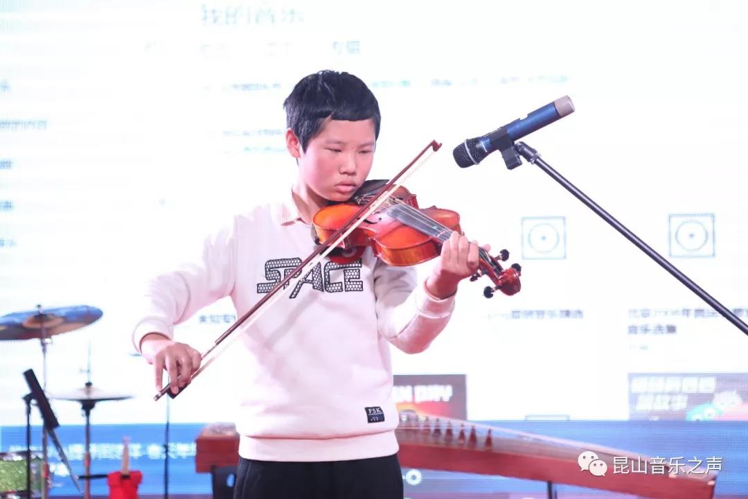 小提琴圖片/小提琴樣板圖 (4)