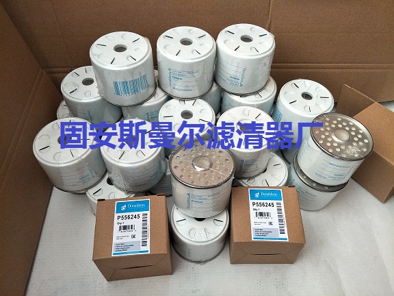 P556245唐納森濾芯圖片