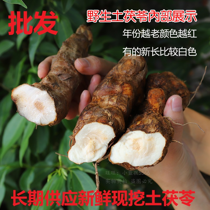 广东新鲜土茯苓野生新鲜批发咨询电话 煲汤汤料土茯苓 量大从优 价格电议图片