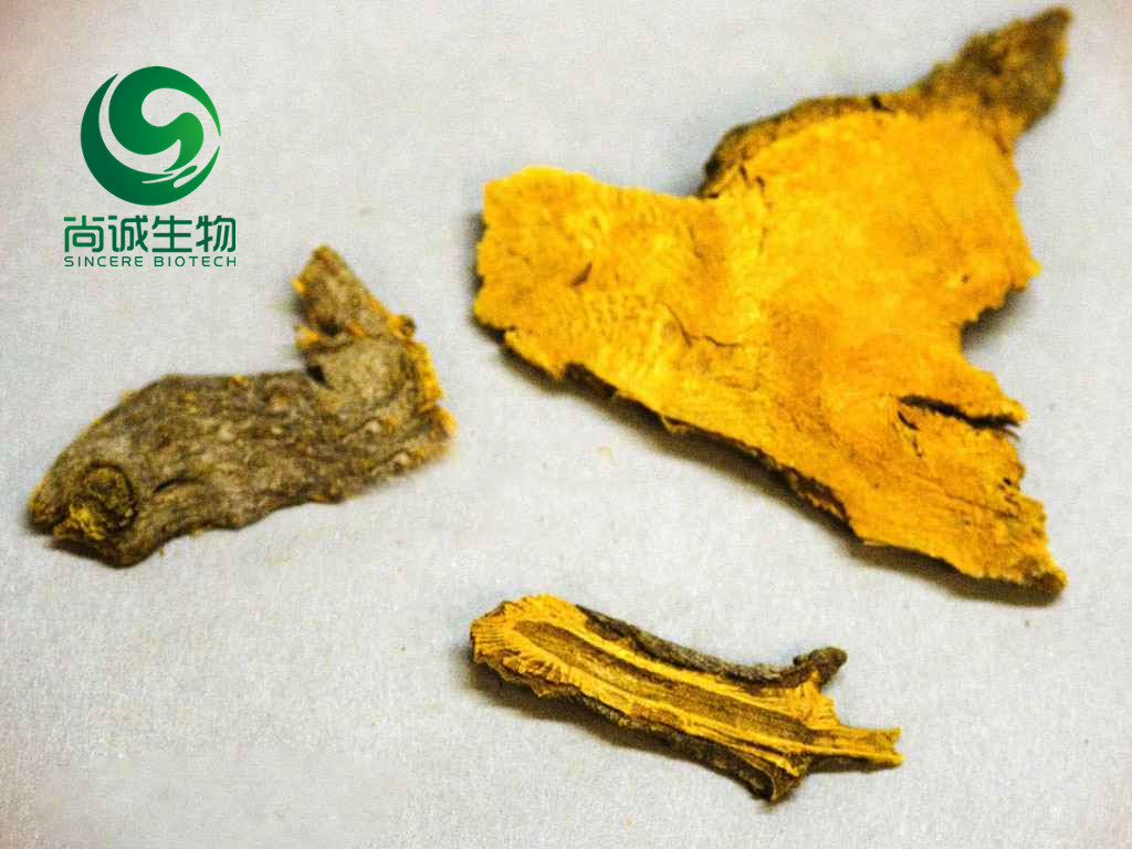 虎杖提取物 白藜芦醇图片