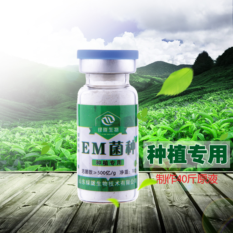 EM菌种  增强植物代谢功能，提高光合作用图片