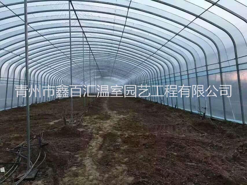 单拱温室 小型温室图片