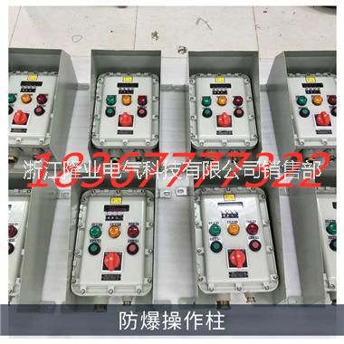 防爆配電箱價(jià)格圖片/防爆配電箱價(jià)格樣板圖 (4)