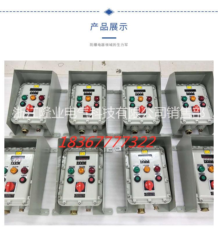 防爆配電箱價(jià)格圖片/防爆配電箱價(jià)格樣板圖 (2)