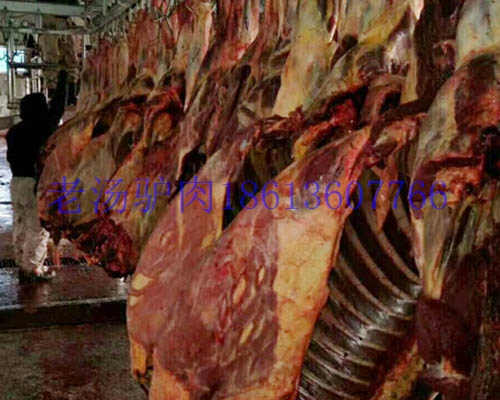 蒙古馬肉圖片/蒙古馬肉樣板圖 (4)