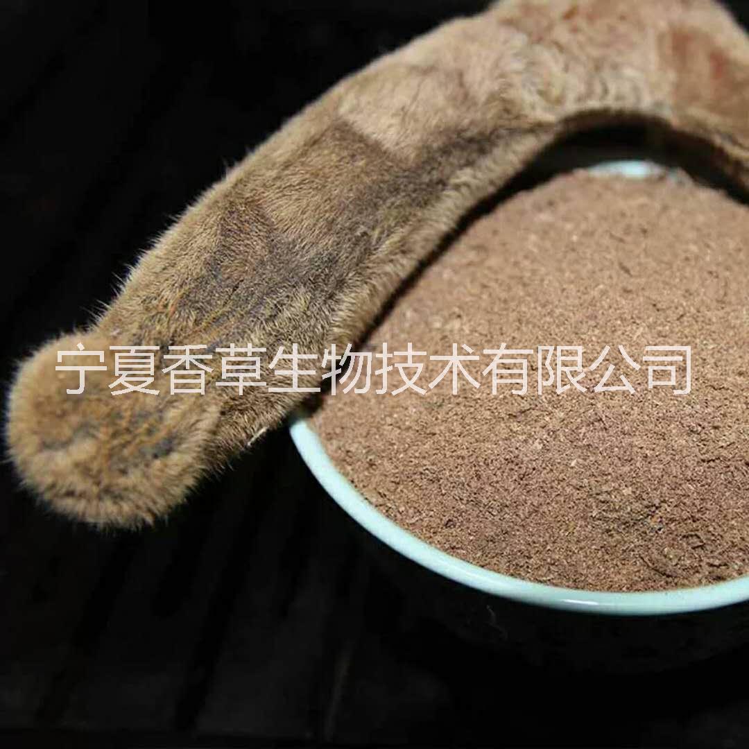 鹿茸提取物厂家 鹿茸多肽 鹿茸粉 鹿角胶粉 鹿茸冻干粉特价批发包邮1kg起  鹿茸片价格 鹿角霜提取物图片