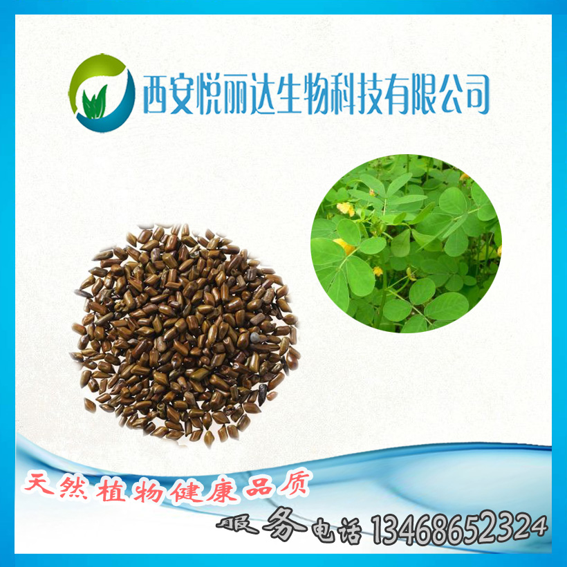 決明子提取物決明子蒽醌粉