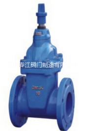 春江閥門-暗桿彈性座封閘閥圖片