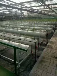 种植温室大棚骨架加工供应种植温室大棚加工_温室大棚厂家_温室大棚加工_温室大棚价格 种植温室大棚骨架加工