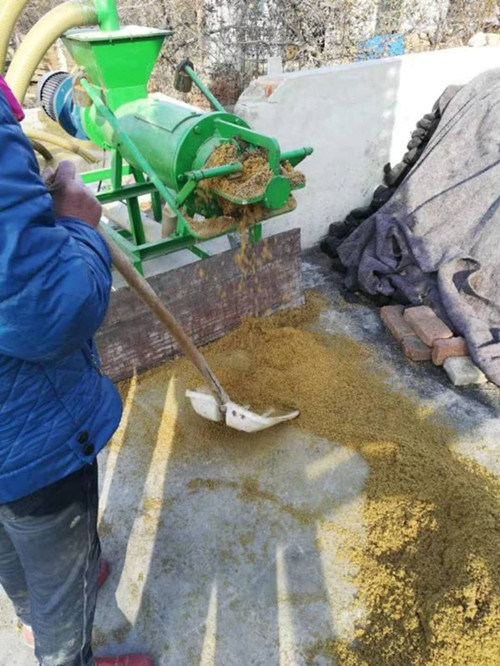 豬糞圖片/豬糞樣板圖 (1)