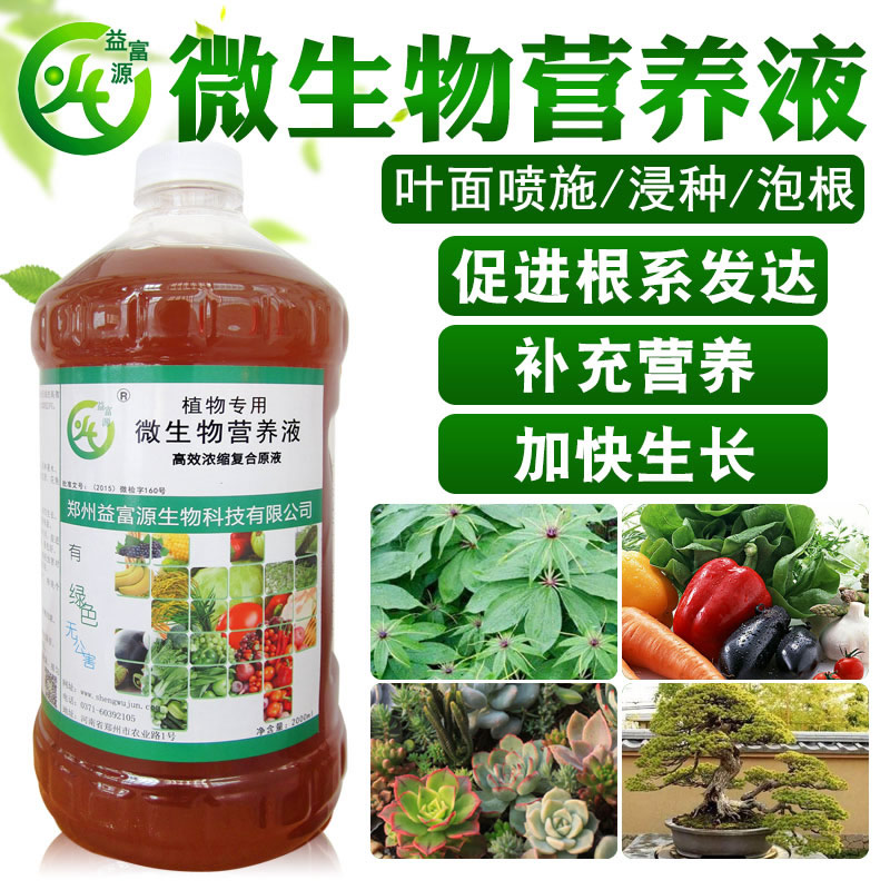 香菇畸营养液香菇畸形菇产生的原因和防治方法