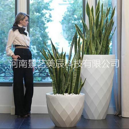 鉆石面高圓筒型YM-06圖片