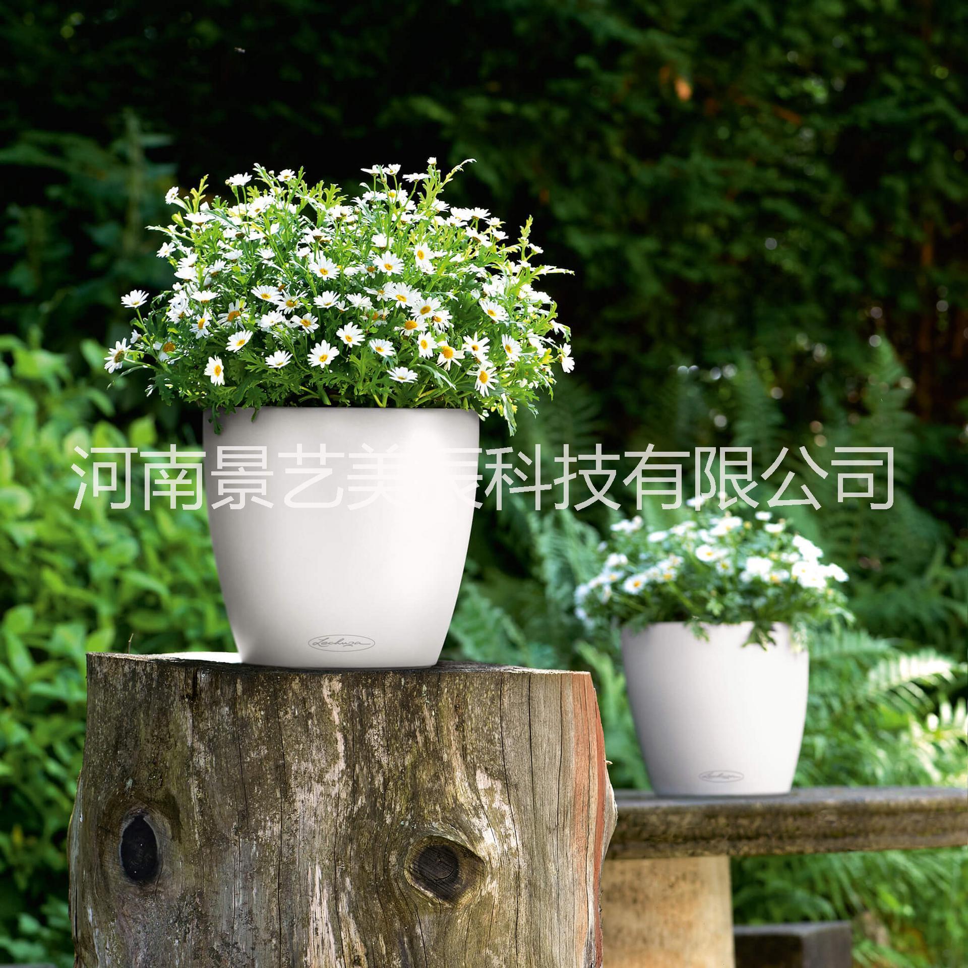 高光矮胖圓型JY-05圖片/高光矮胖圓型JY-05樣板圖 (1)