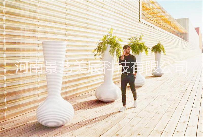 蘆花圖片/蘆花樣板圖 (2)