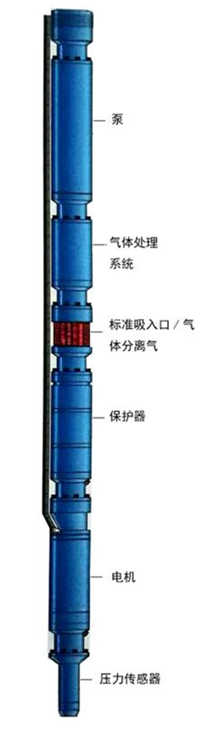 天津市潜油泵耐高温_耐腐蚀_抽油用厂家潜油泵耐高温_耐腐蚀_抽油用 潜油泵耐高温_耐腐蚀_抽油用