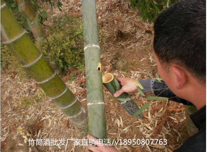 配置酒生产厂家配置酒生产厂家，竹筒酒，竹子里面种出来的酒