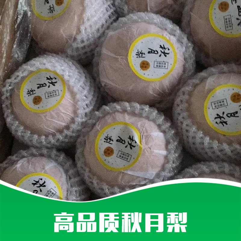 秋月梨批發(fā)圖片/秋月梨批發(fā)樣板圖 (3)