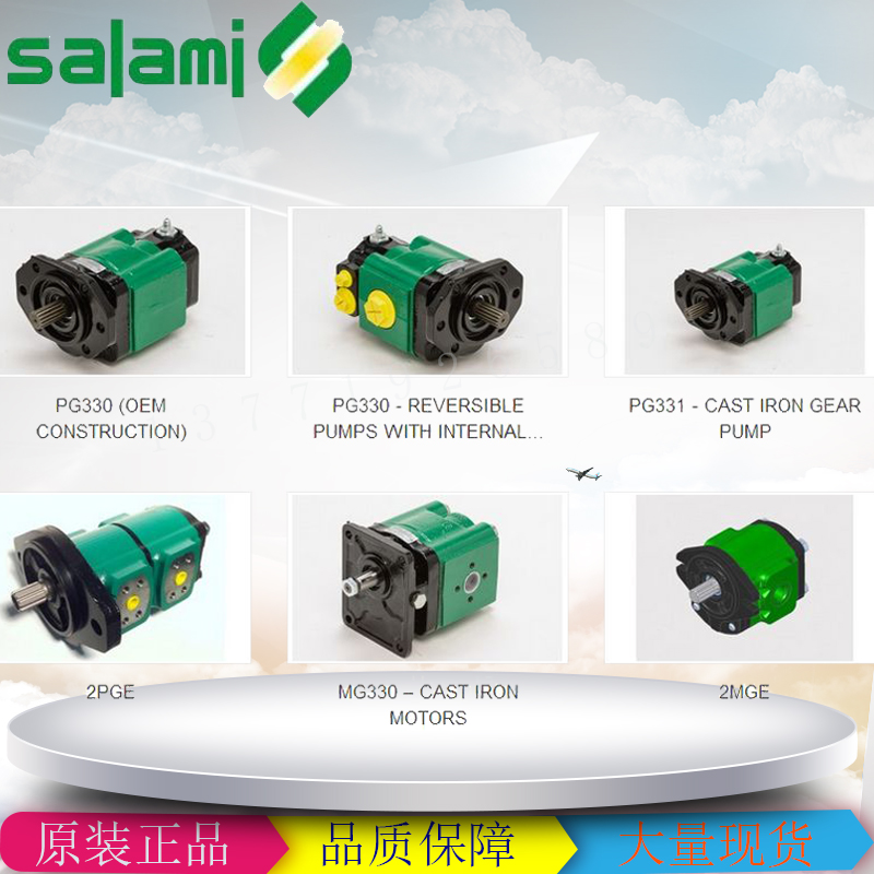 意大利萨拉米SALAMI齿轮泵1PE0.8S-G06B0