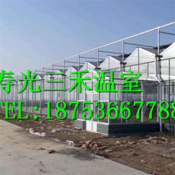 冬暖式蔬菜大棚圖片