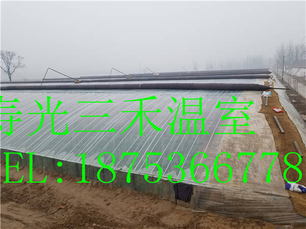 冬暖式玻璃大棚圖片