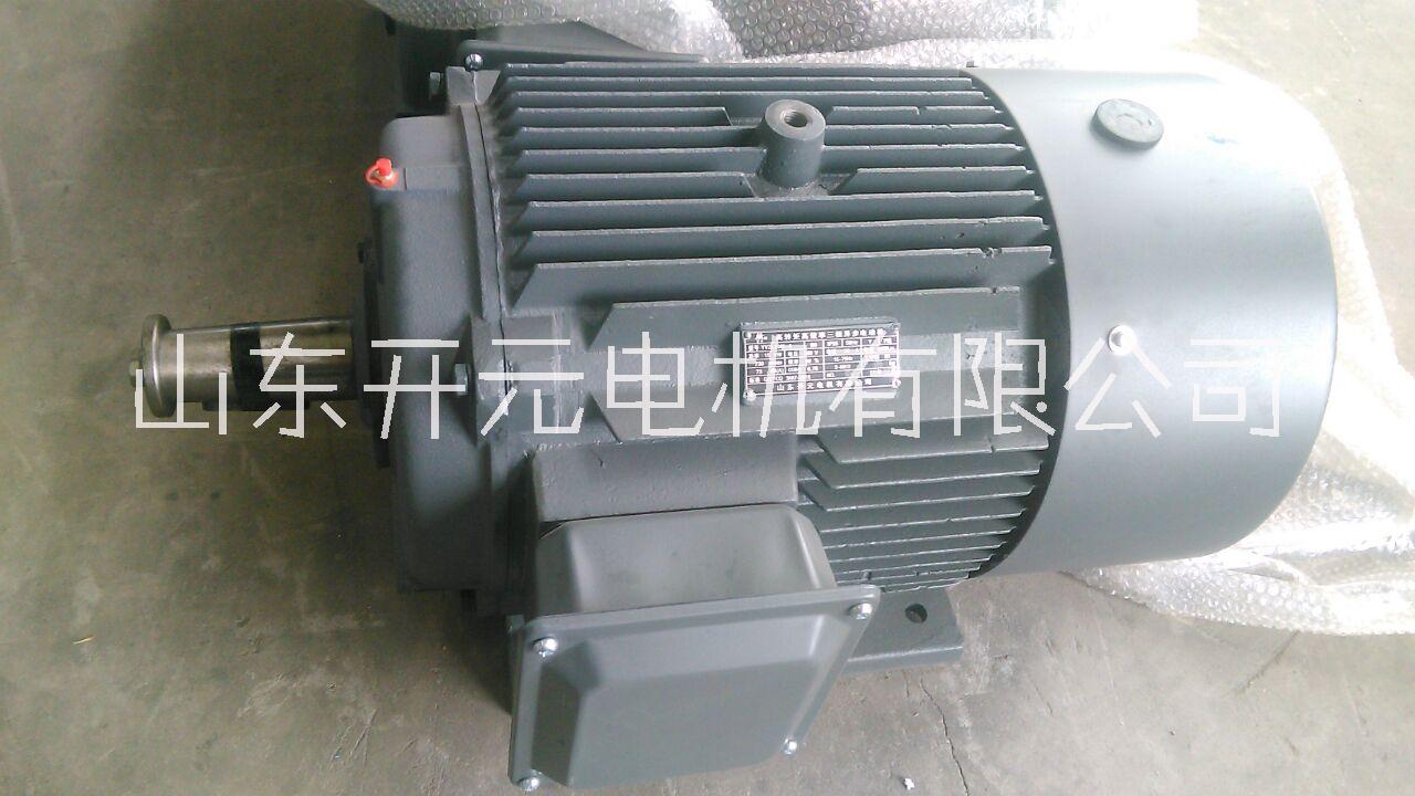 抽油机专用电机YVZL 180L-8-11kw