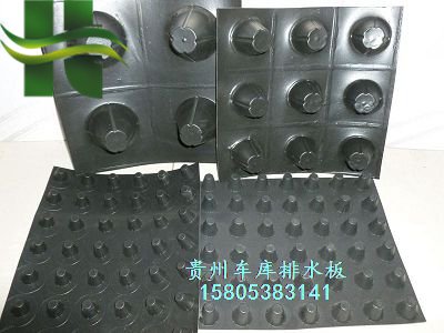 3公分阻根排水板圖片/3公分阻根排水板樣板圖 (3)
