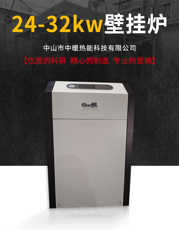 电采暖炉热水炉/电热水器/智能高效电热水器/智能高效火龍果电采暖炉批发