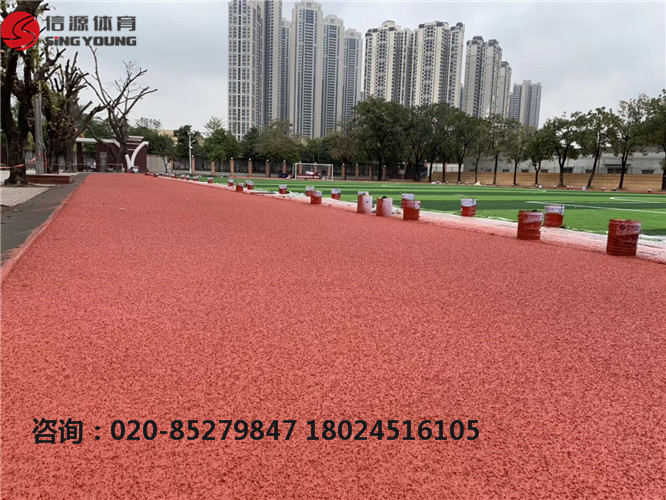 塑膠跑道圖片/塑膠跑道樣板圖 (3)