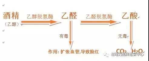 【柑動(dòng)力】飲酒與自身健康圖片