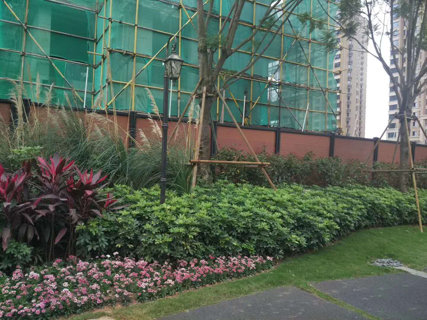 惠州木塑圍擋圖片