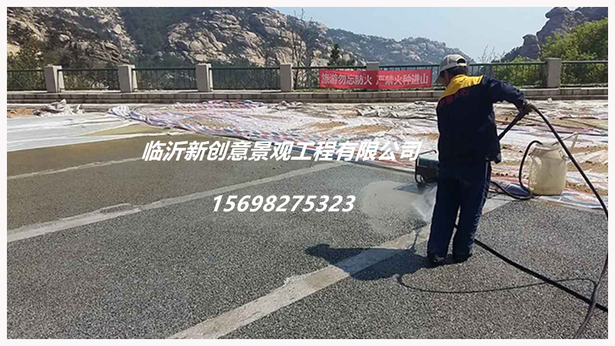 露骨料透水地坪，露骨料透水地坪厂图片