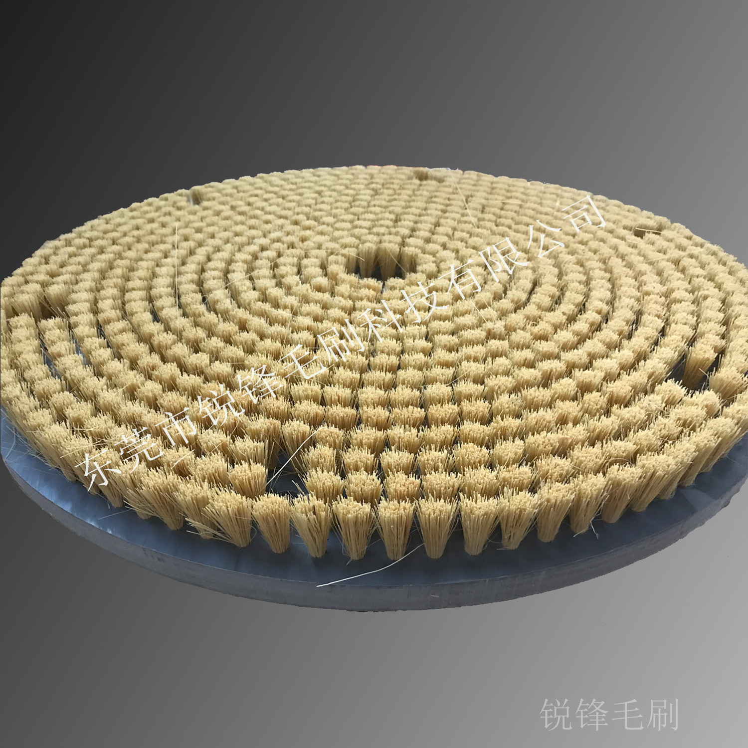 圓盤(pán)刷圖片/圓盤(pán)刷樣板圖 (2)