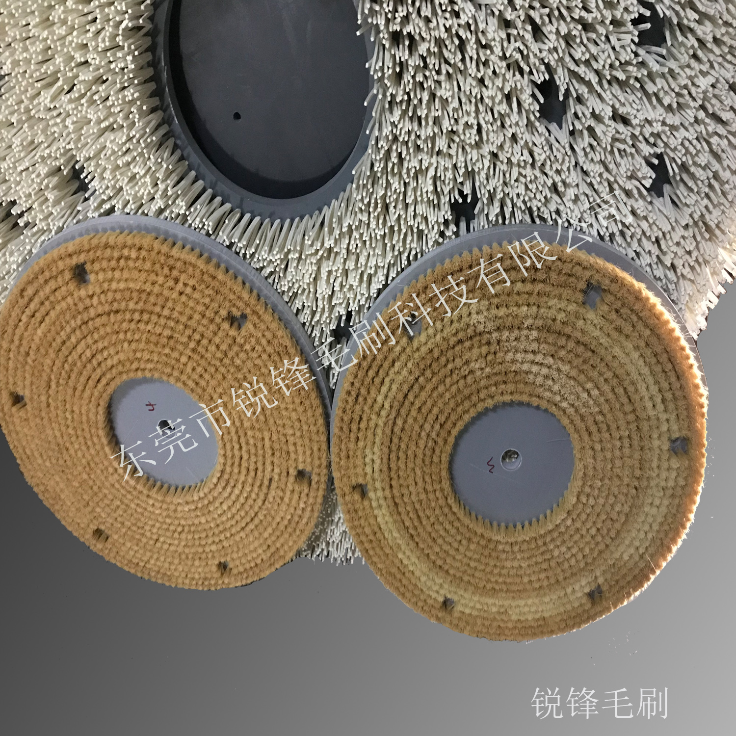 圓盤(pán)刷圖片/圓盤(pán)刷樣板圖 (4)