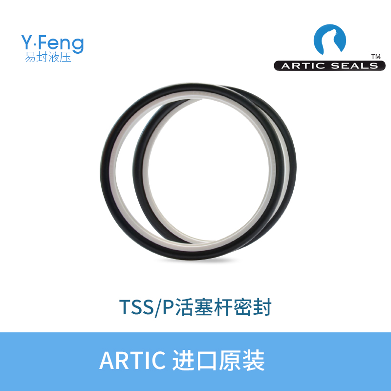 意大利ARTIC SEALS 缓冲环 斯特封 雷姆封 密封圈 品质保证 售后无忧 TSS-P图片