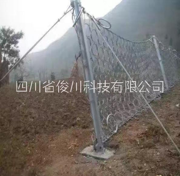 RXI-200被动网厂家国标非标价格图片