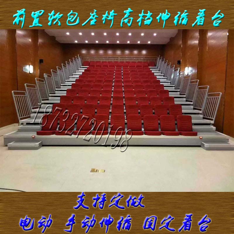 體育館劇場場館座椅電動手動固定圖片/體育館劇場場館座椅電動手動固定樣板圖 (4)