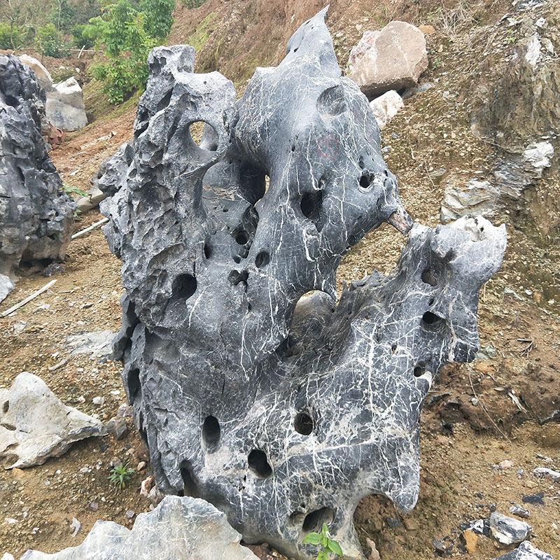 供应广东英德太湖石 窟窿石假山石头 天然原石摆件 观赏石图片