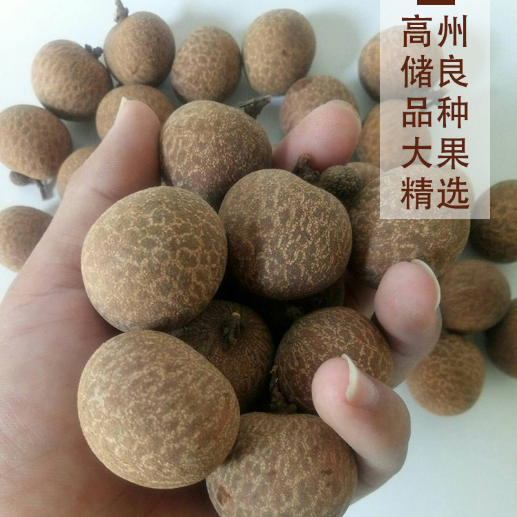 高州储良桂圆干8A大果500g 精选特级大果肉厚香甜龙眼干桂圆肉干图片