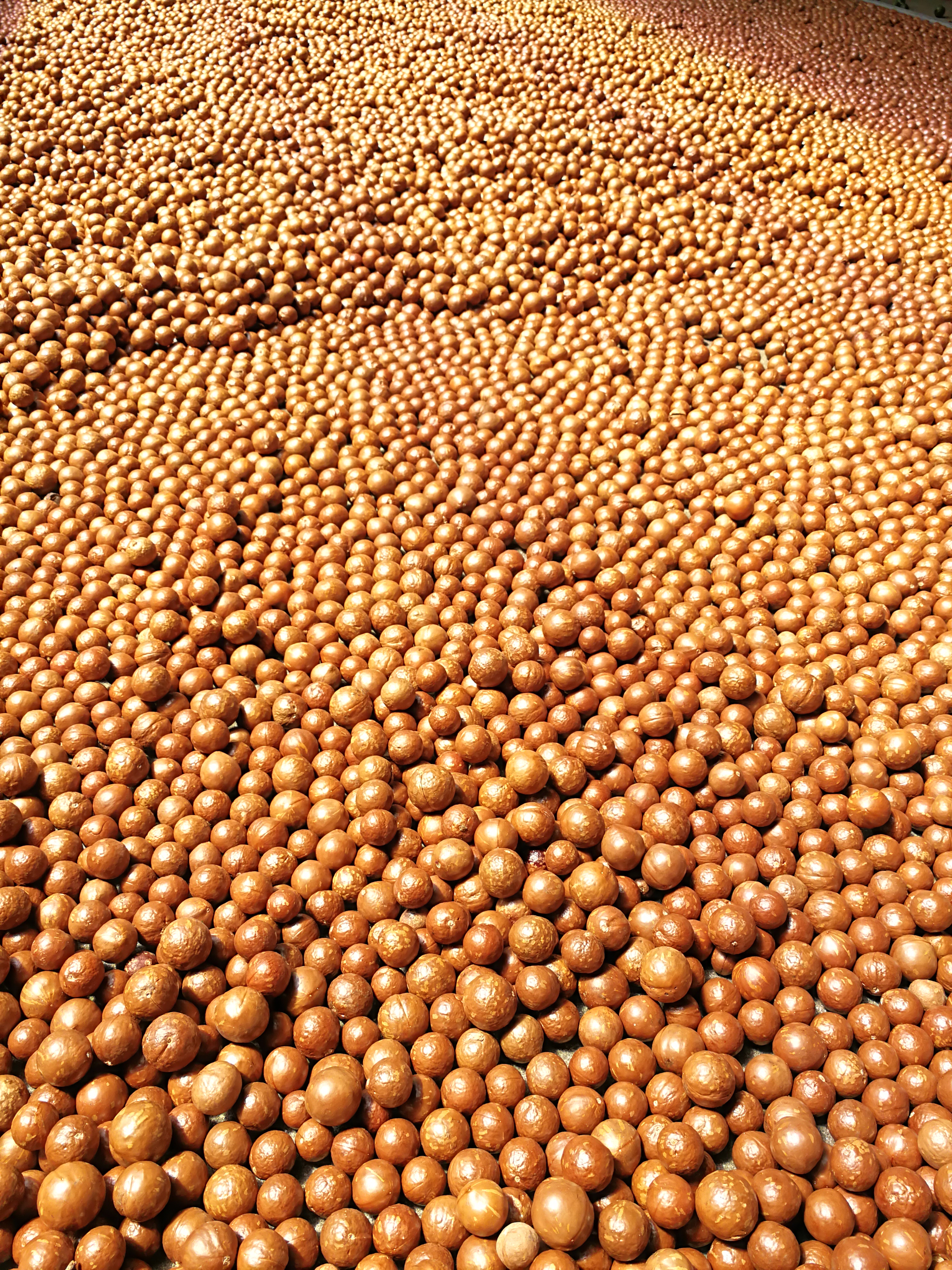 散裝原味堅果圖片/散裝原味堅果樣板圖 (3)