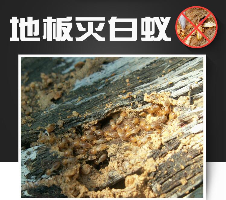 郑州白蚁防治方法价格收费标准【河南七步有害生物防治有限公司】图片