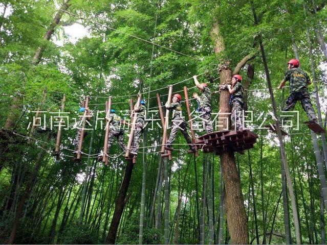 西雙版納叢林穿越圖片/西雙版納叢林穿越樣板圖 (3)