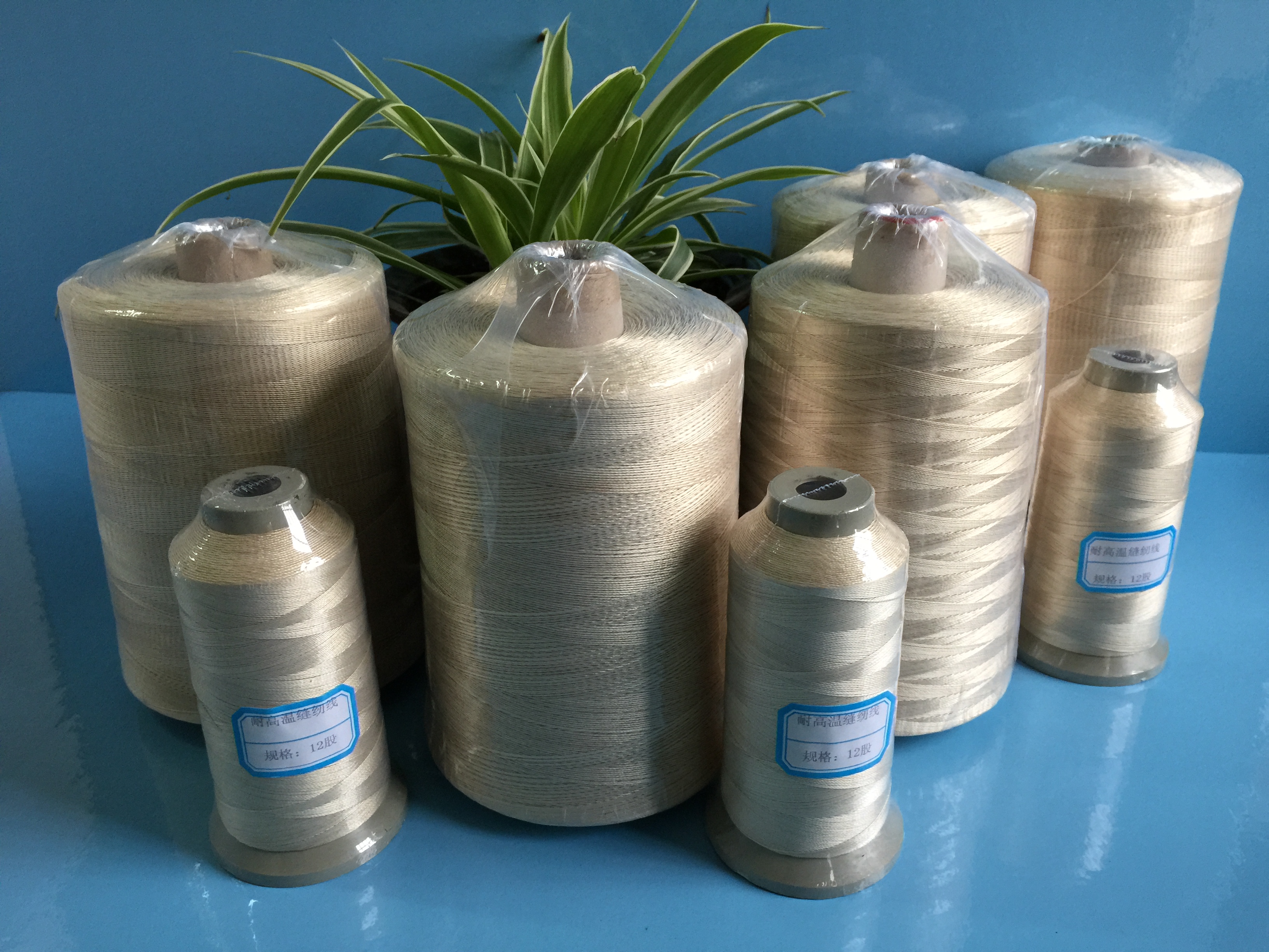 縫紉線圖片/縫紉線樣板圖 (3)