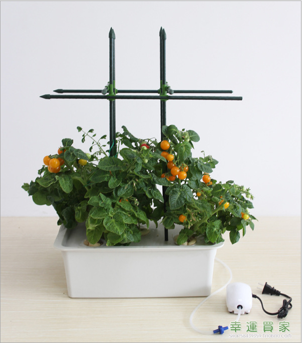 5孔增氧型果蔬水培種植箱圖片/5孔增氧型果蔬水培種植箱樣板圖 (3)